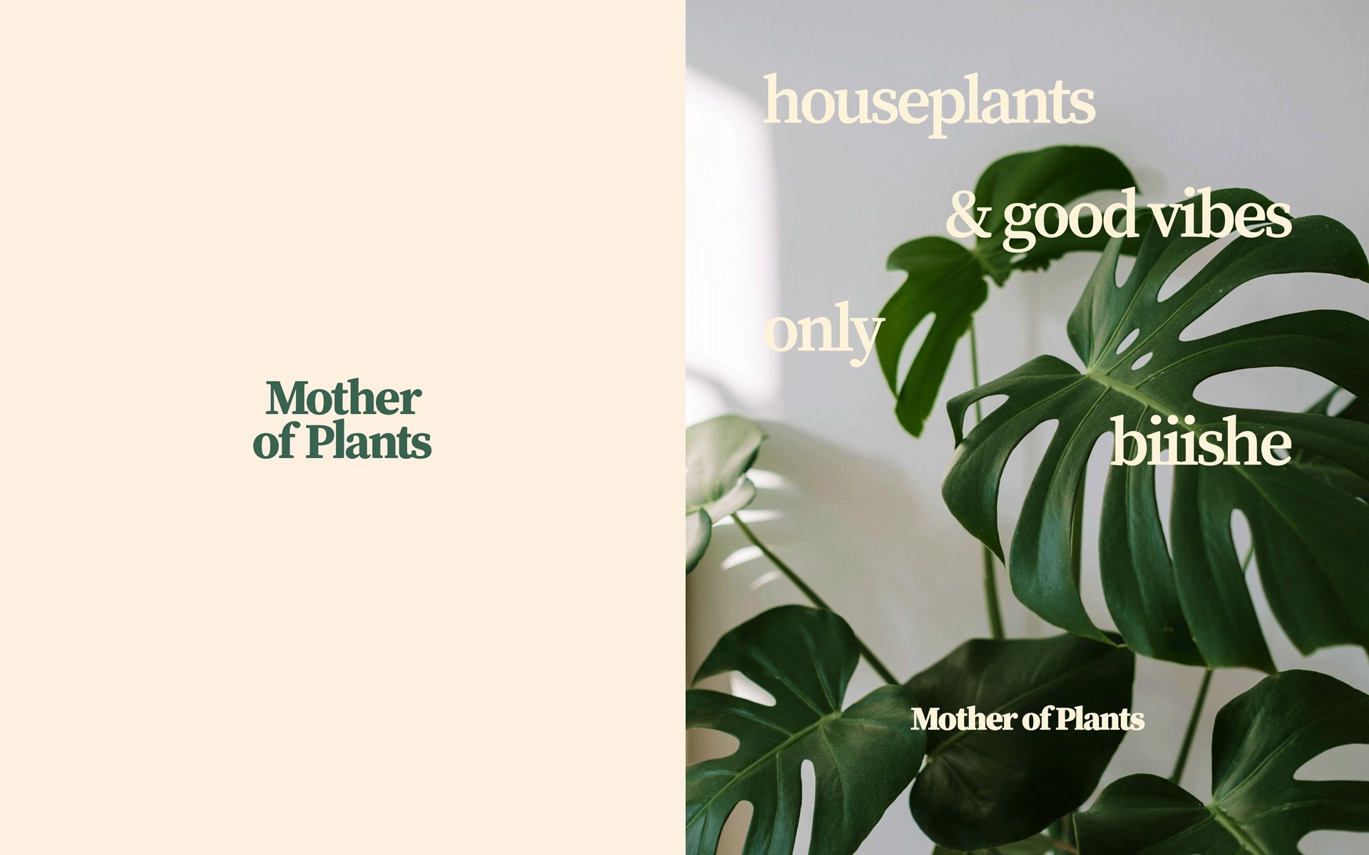 Split image: Left Side - Mother of Plants Stacked Wordmark in Dark Green on Light Deep Safron.  Right Side: Mother of Plants "Houseplants + good vibes" Poster in light Deep Safron. Designed by Can O' Baked Beans 2020